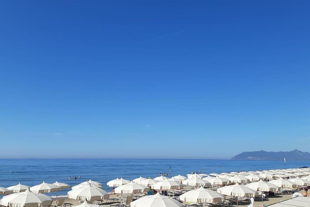 Inclanto Beach House, Mare A 150 Mt Terracina Eksteriør bilde